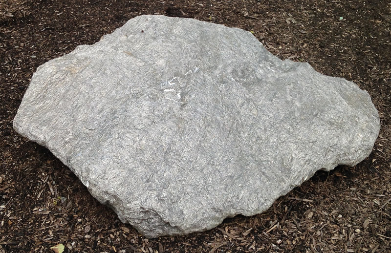 Outdoor Geology Lab Tour Mica Schist Wake Tech